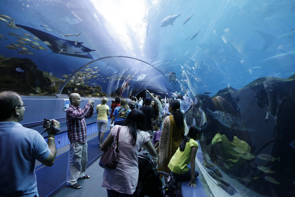Georgia Aquarium Atlantassa - maailman suurin yleisöakvaario