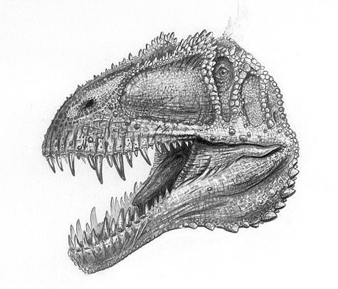 acrocanthosaurus