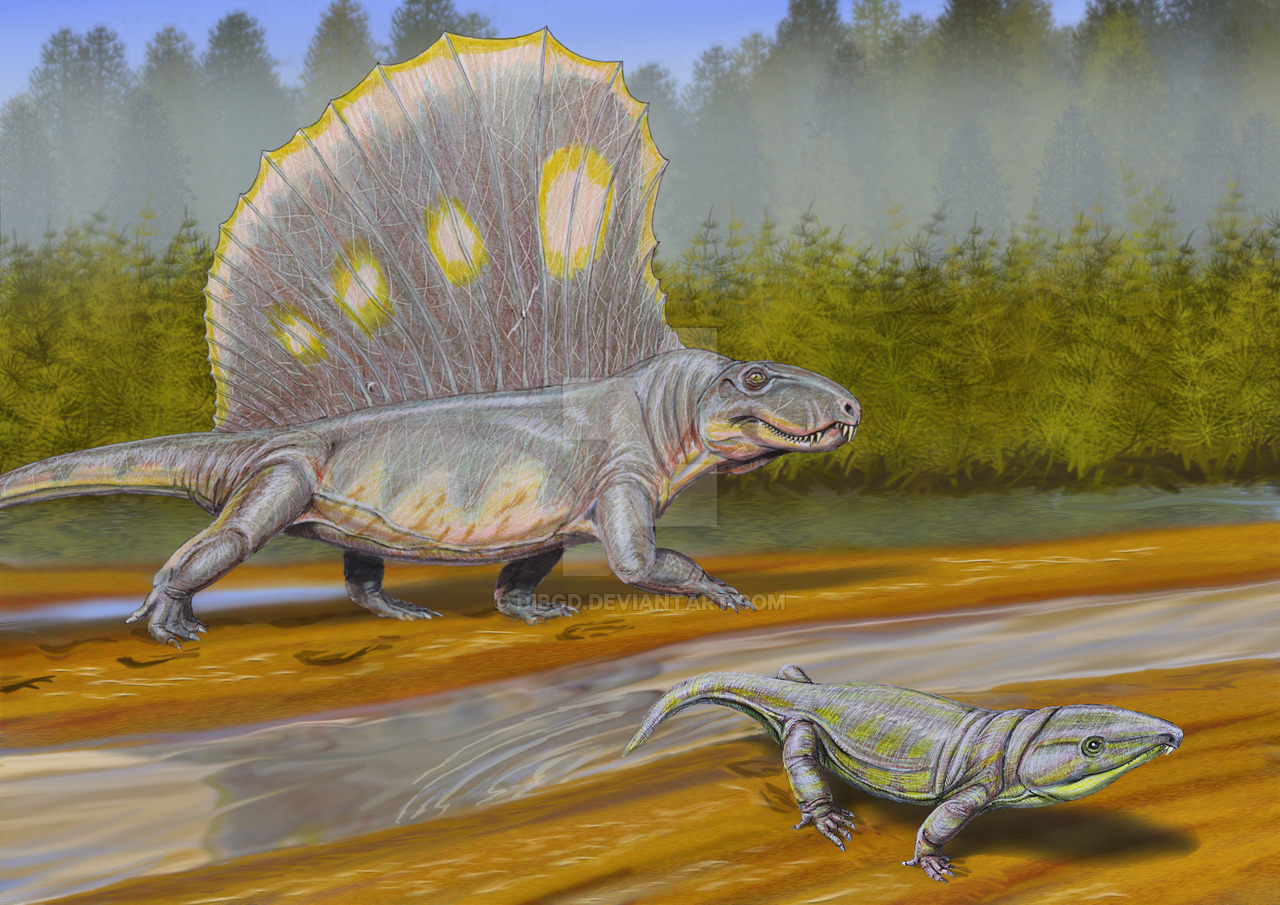 Dimetrodon and Labidosaurus