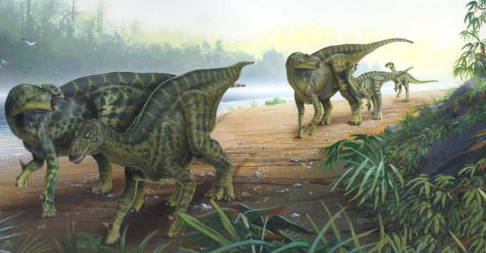 Iguanodonit