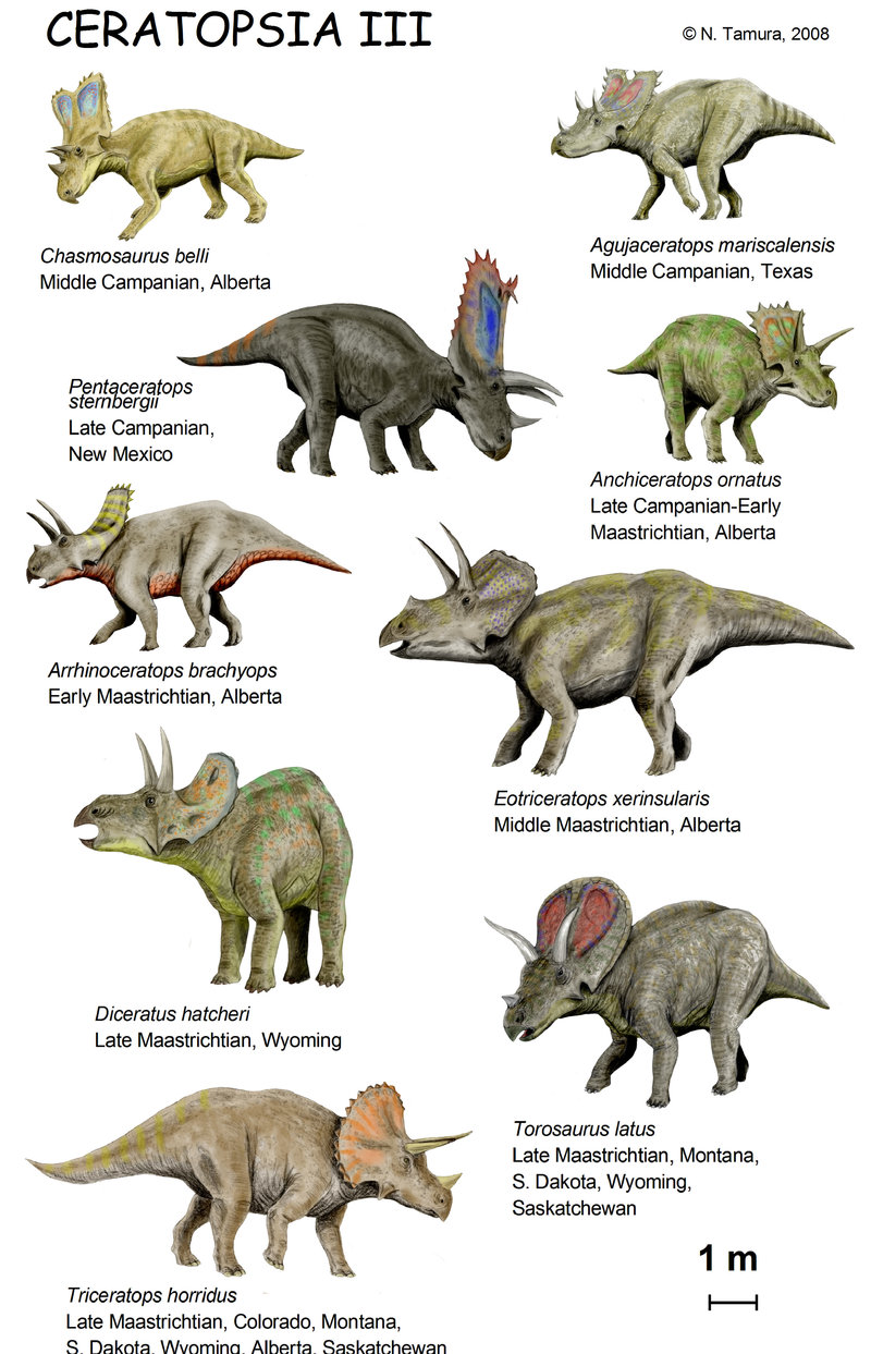 Sarvinaamat Ceratopsia