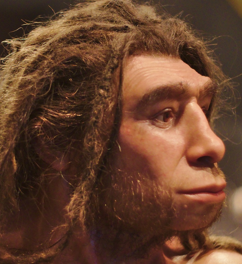 Neandertalinihminen