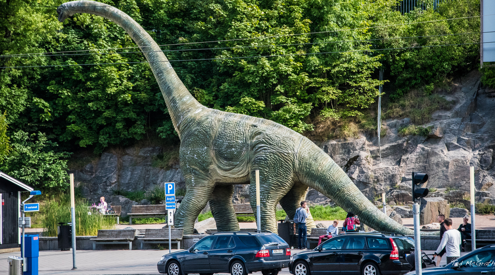 Dinosauruksia liikenteessä