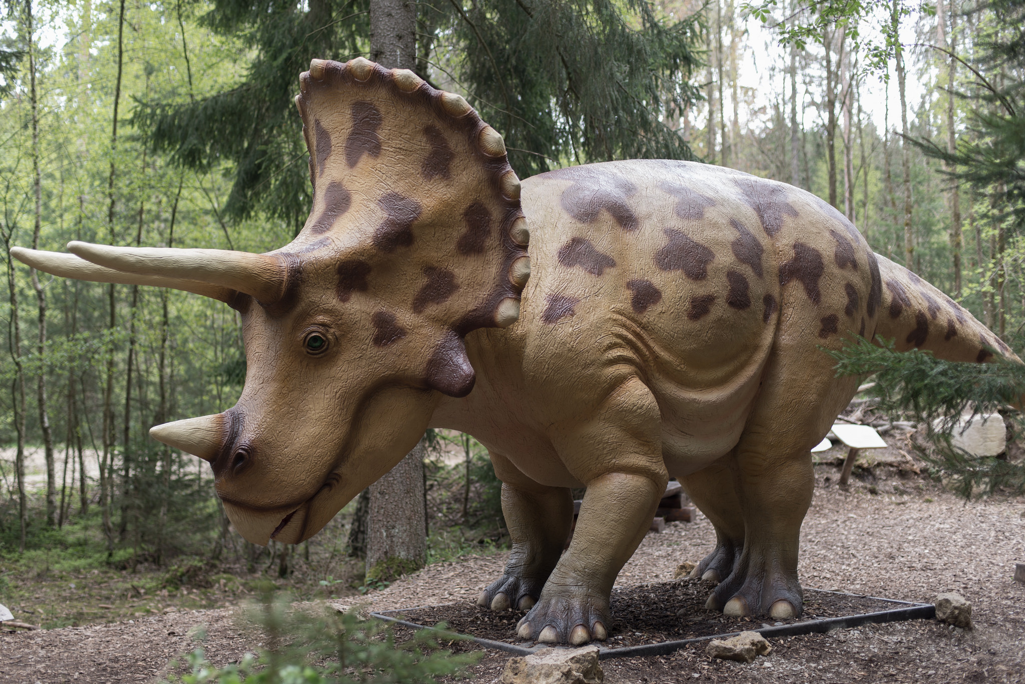 Suomen Triceratops