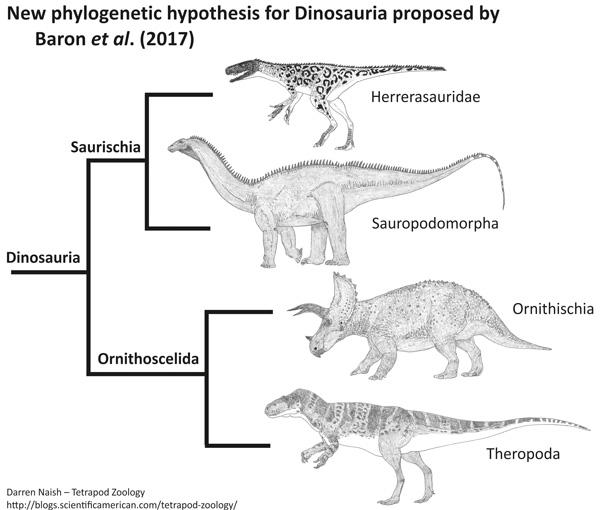 Dinosaurusten uusi tieteellinen luokittelu