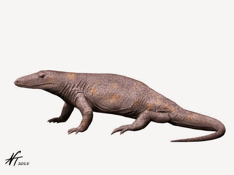 Varanosaurus acutirostris