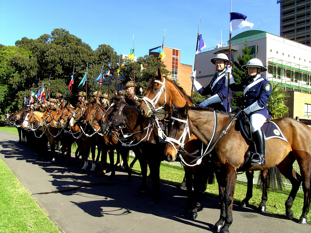 Australianhevoset sodassa ja poliisivoimissa