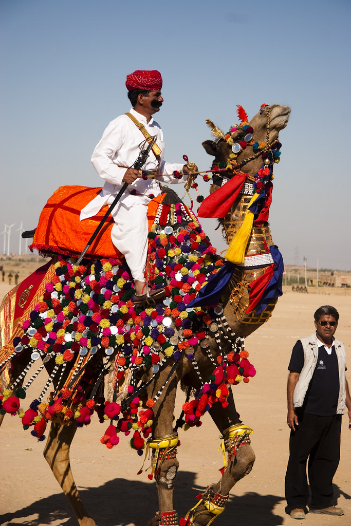 Intian kameli