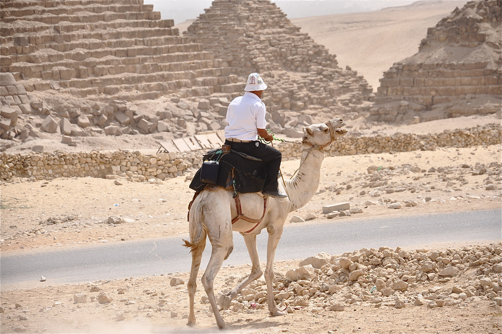 Pyramidien kameliratsupoliisi