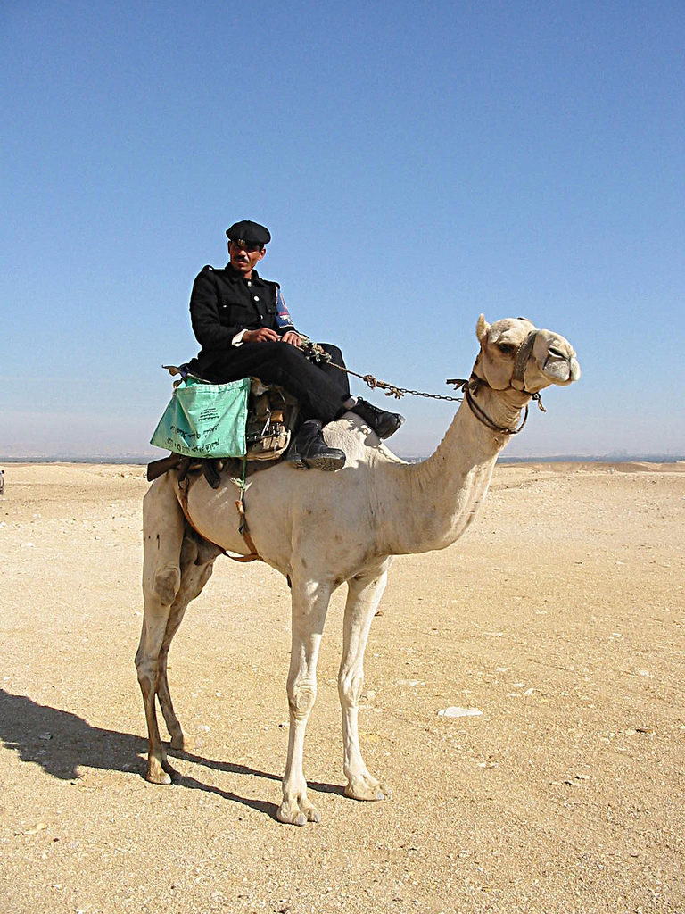 Kairon kameliratsupoliisi