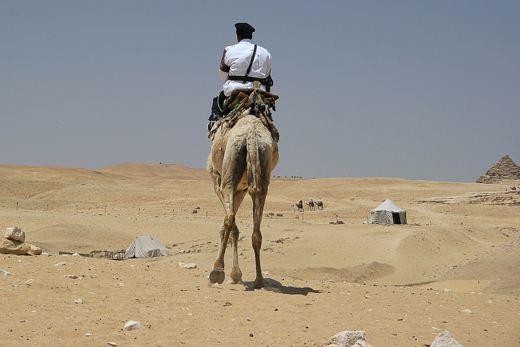 Egyptissä kameliratsupoliisi