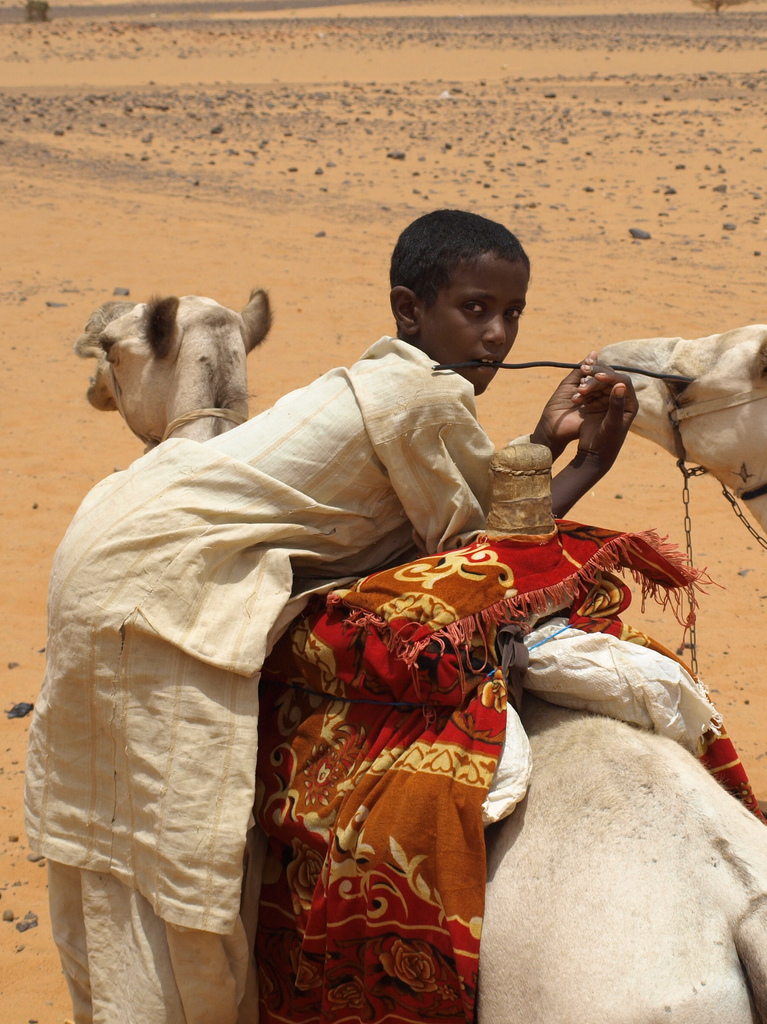 Sudanin kamelipoika