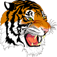 Tiikeri