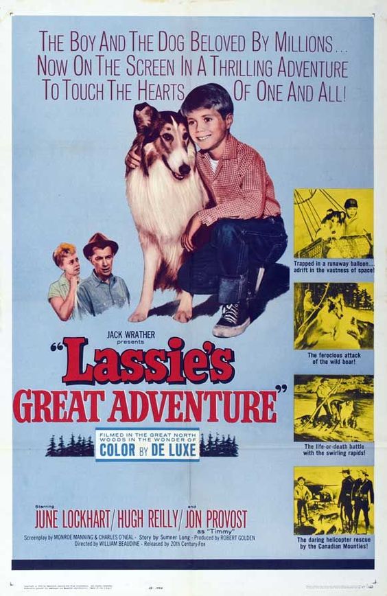 Lassie - erämaaseikkailu 