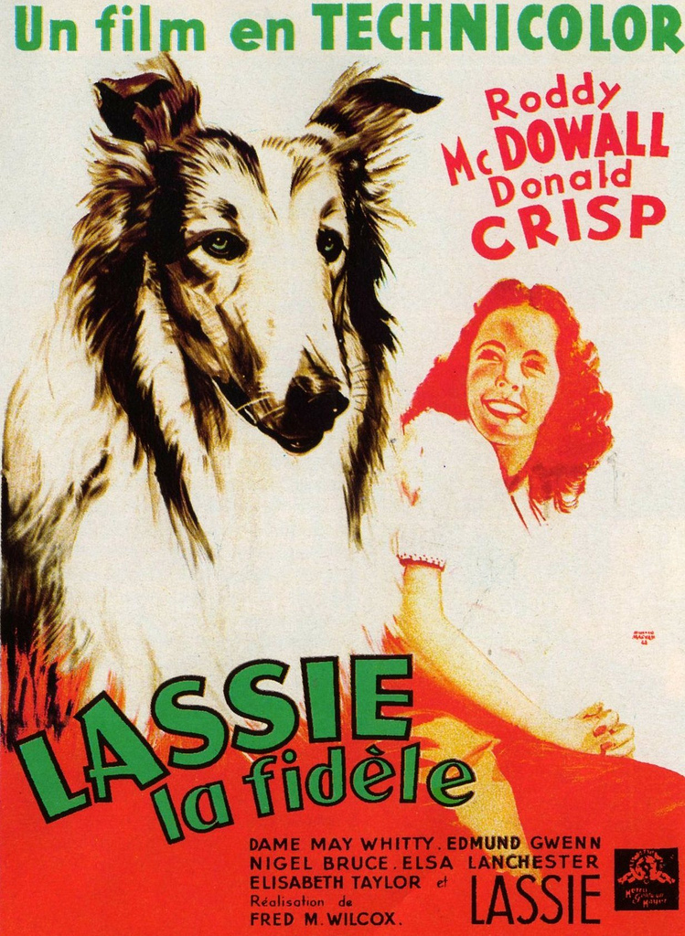 Lassie elokuva