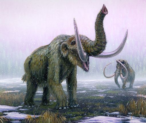 Amerikan mastodontti ja villamammutti