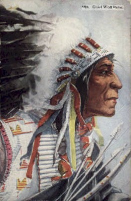 Chief Wolf Robe